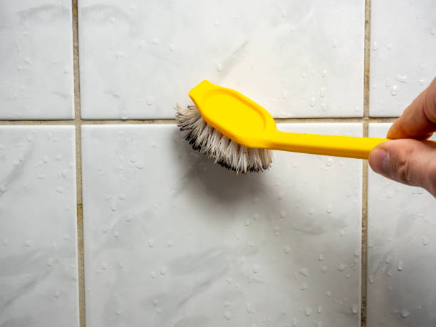 Best Industrial Mold Remediation in Jackson, WI